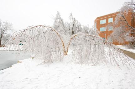 2007 Ice Storm at Northwest 3