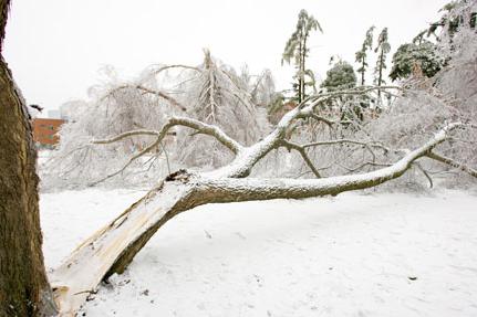 2007 Ice Storm at Northwest 14