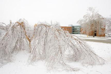 2007 Ice Storm at Northwest 15